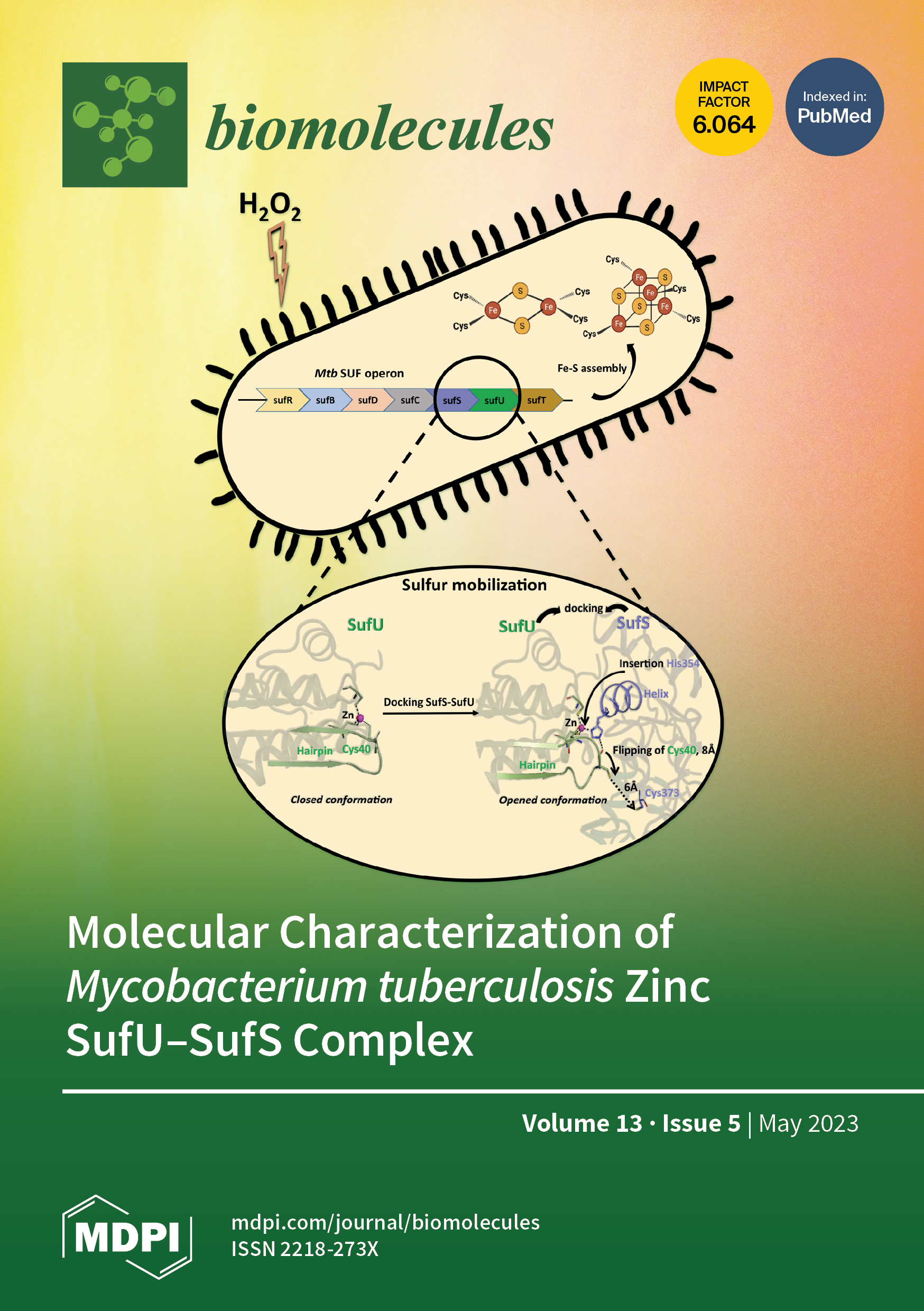 A hierarchy of coupling free energies underlie the thermodynamic and  functional architecture of protein structures - ScienceDirect