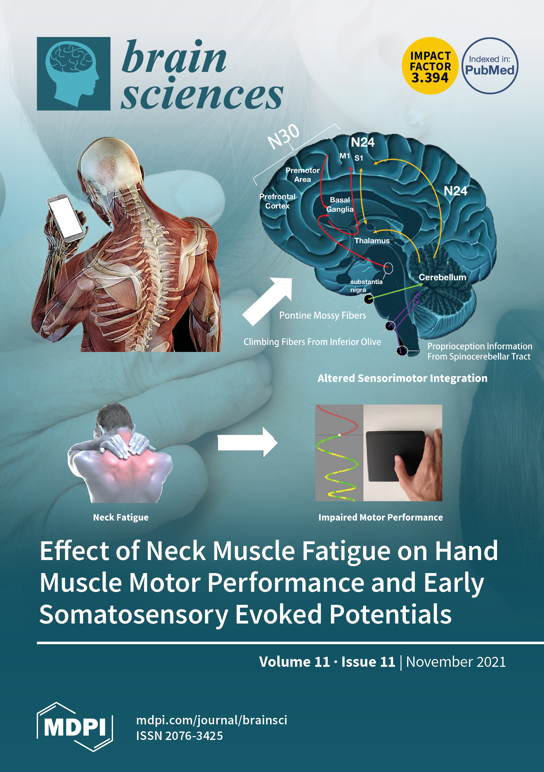 Frontiers  Caught in the thickness of brain fog: exploring the