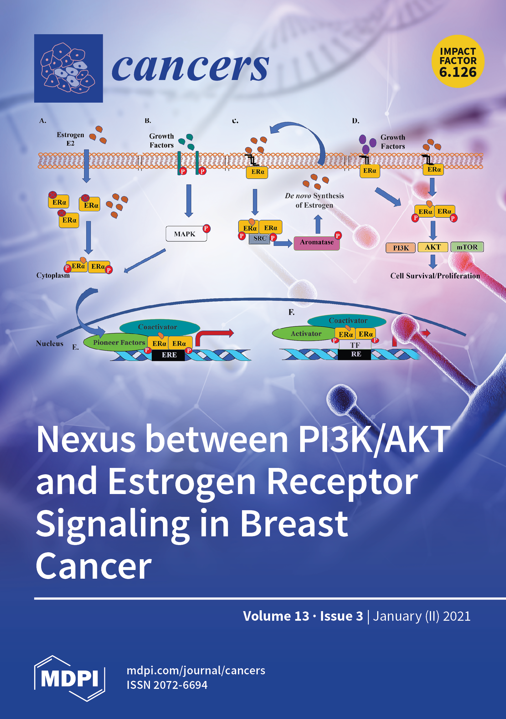 Deaths from breast cancer dropped 58% between 1975 and 2019 due to a  combination of improvements in both screening and treatment accordin