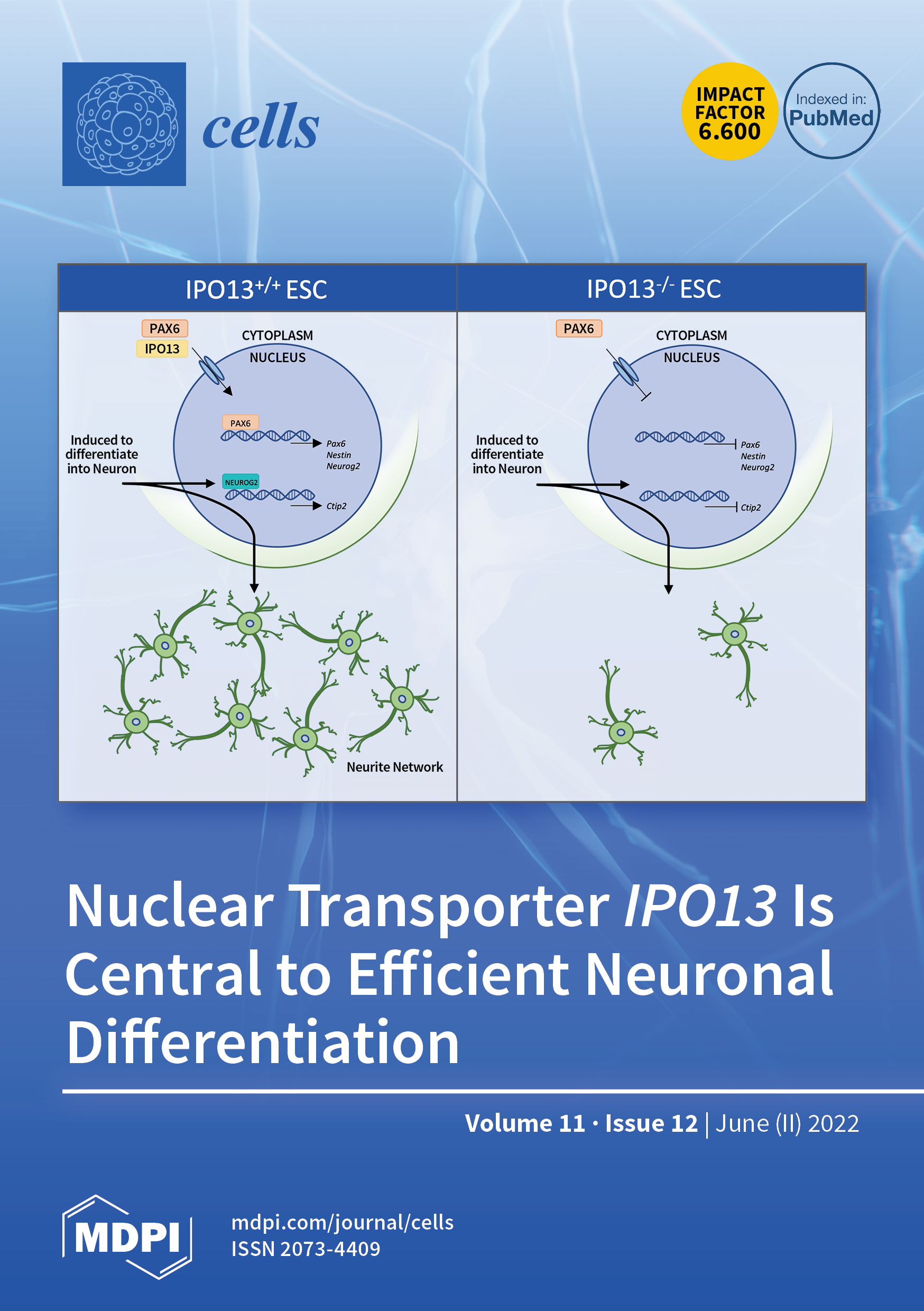 https://www.mdpi.com/files/uploaded/covers/cells/big_cover-cells-v11-i12.png