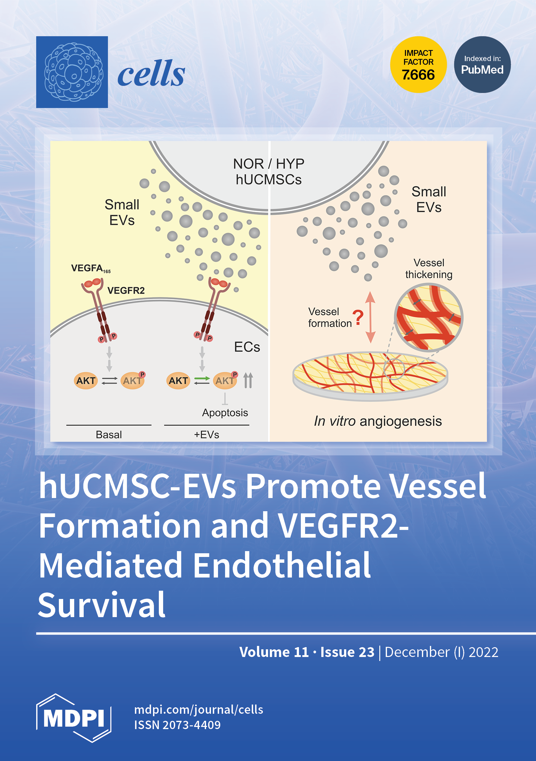 Cells December-1 2022