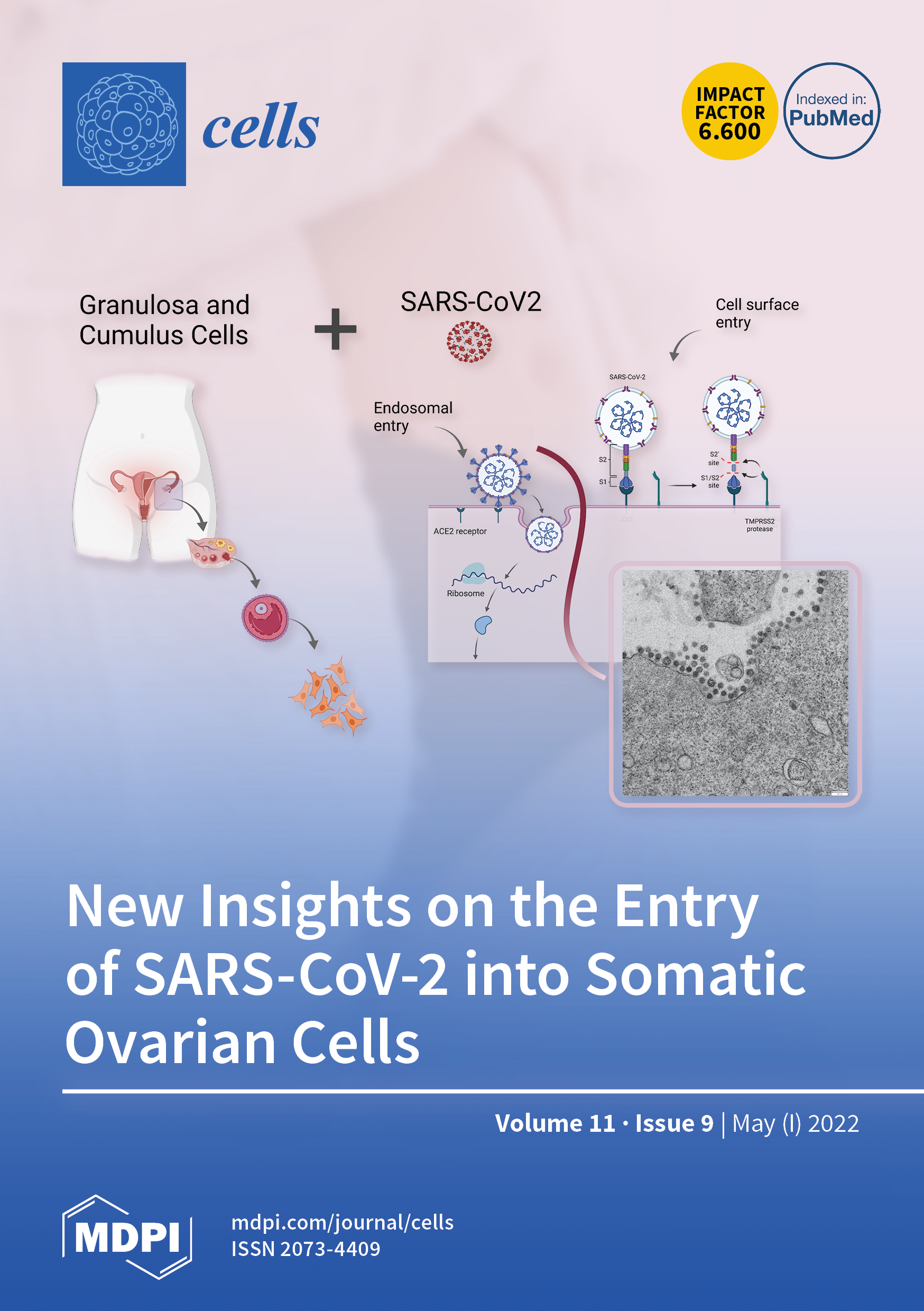 https://www.mdpi.com/files/uploaded/covers/cells/big_cover-cells-v11-i9.png