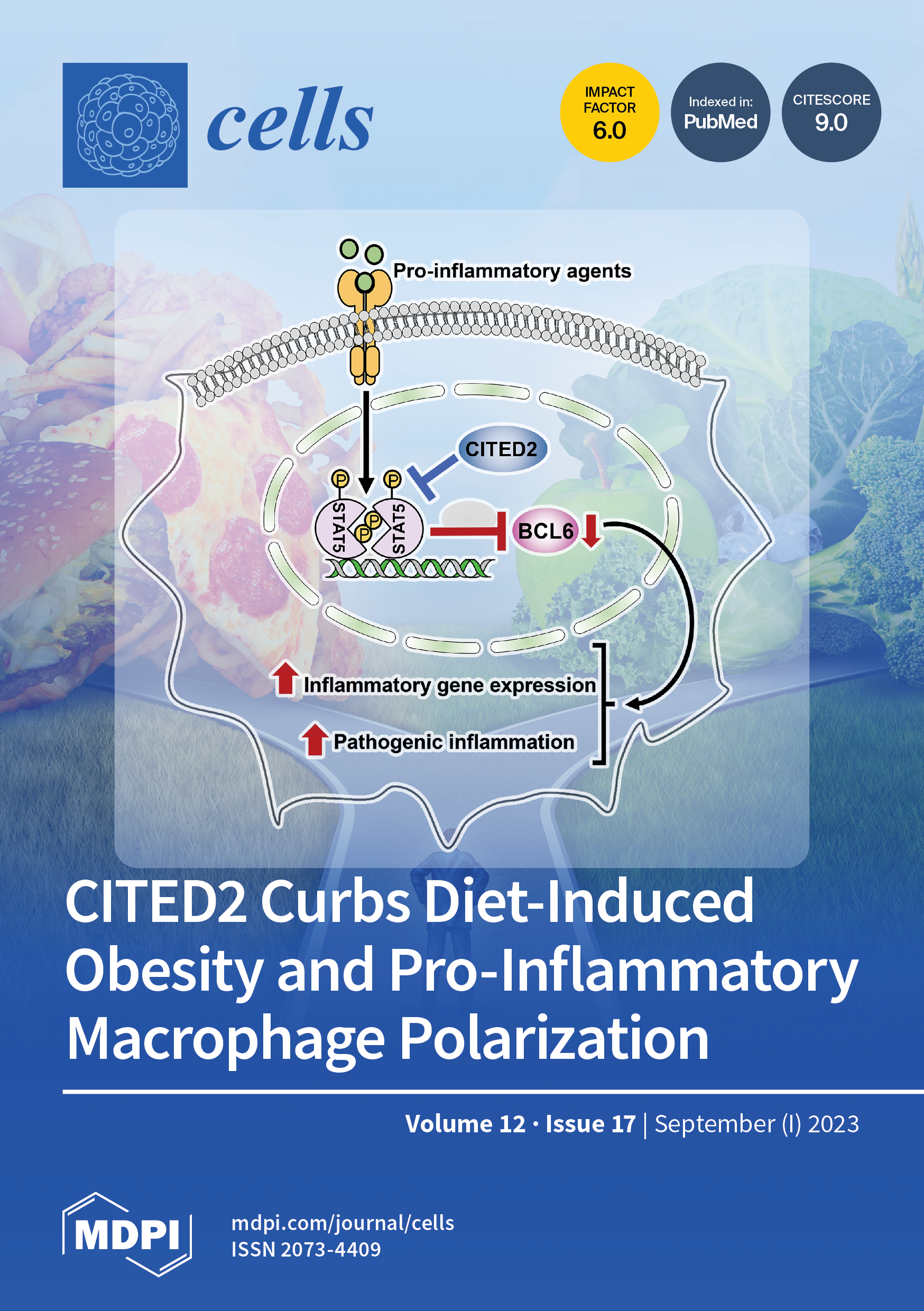 https://www.mdpi.com/files/uploaded/covers/cells/big_cover-cells-v12-i17.png