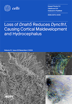 Issue Cover