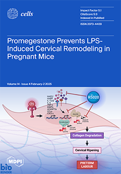 Issue Cover