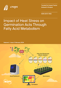 Issue Cover