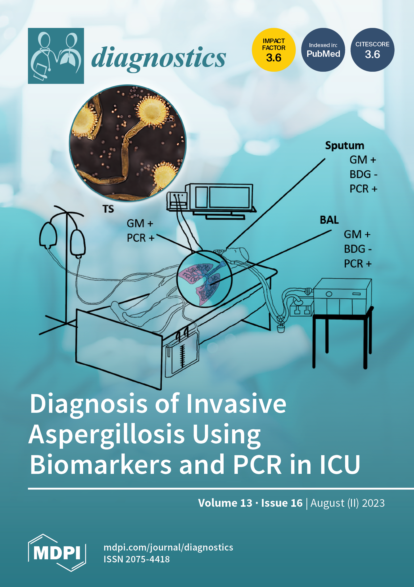 https://www.mdpi.com/files/uploaded/covers/diagnostics/big_cover-diagnostics-v13-i16.png