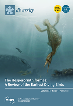 Issue Cover