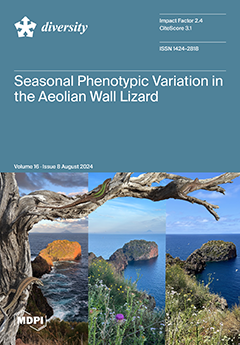 Issue Cover