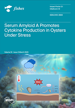 Issue Cover