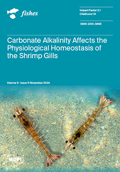 Issue Cover