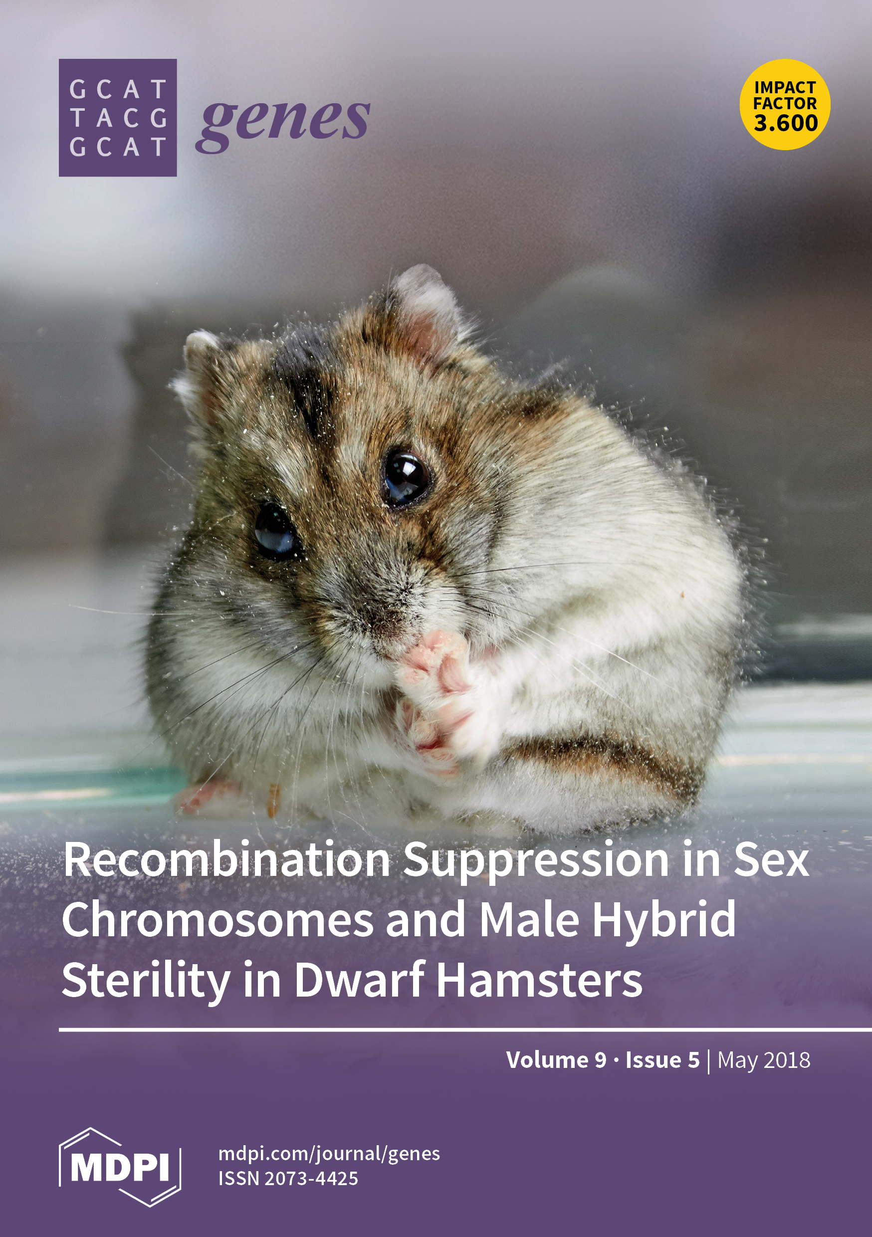 Dwarf Hamster - Facts and Beyond