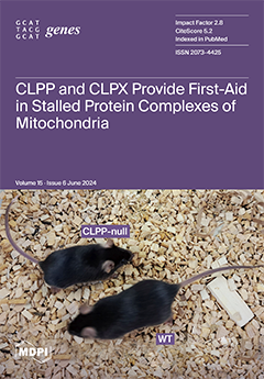 Issue Cover