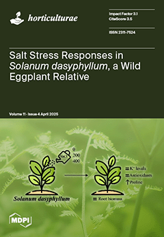 Issue Cover