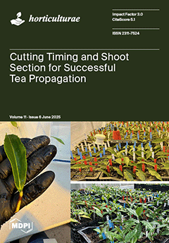 Issue Cover