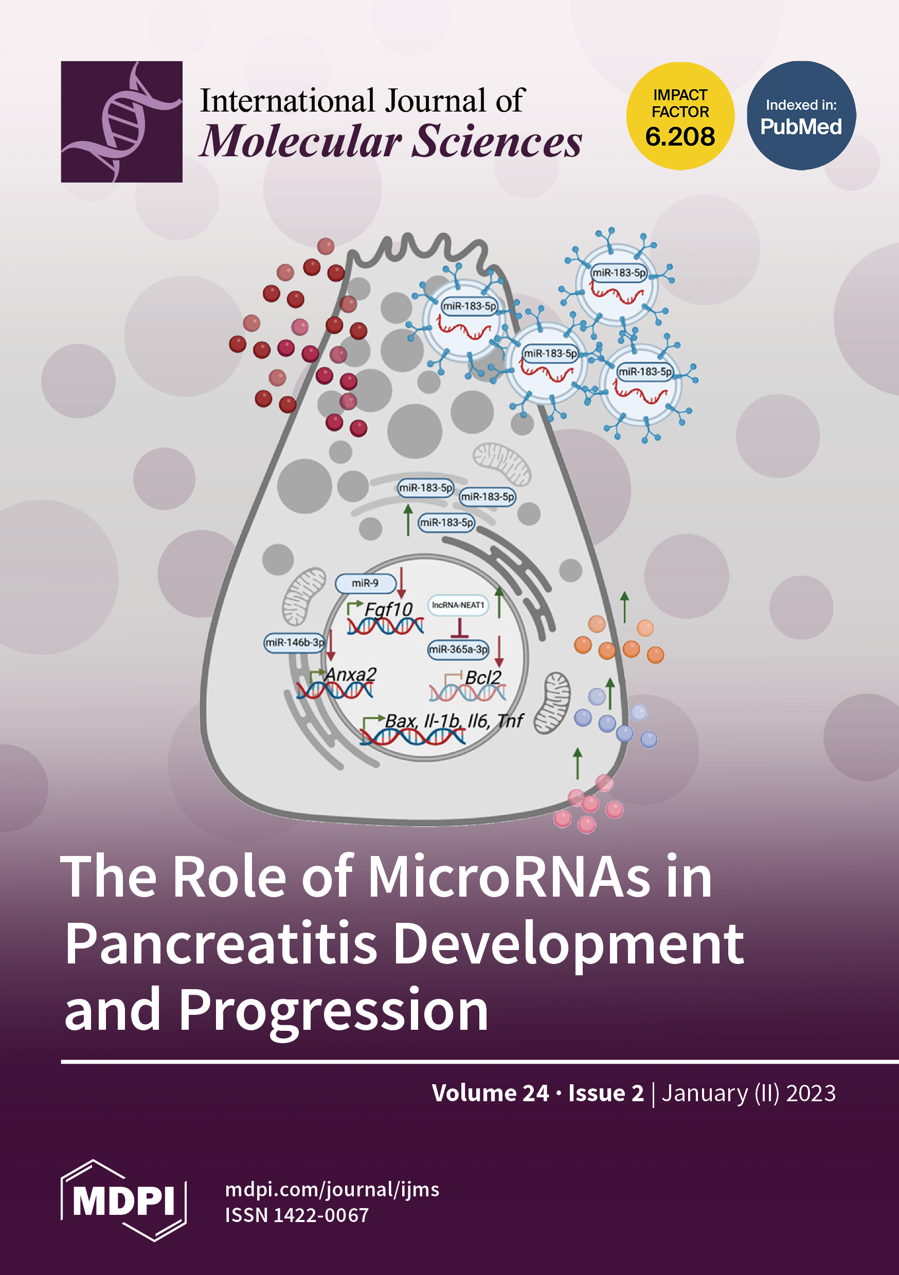 Caseum development is the process of lipid enrichment with necrosis