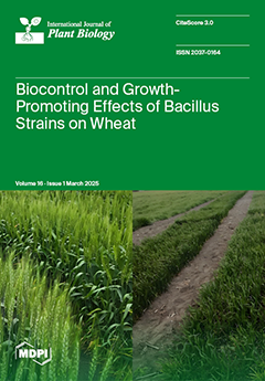Issue Cover