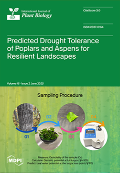 Issue Cover