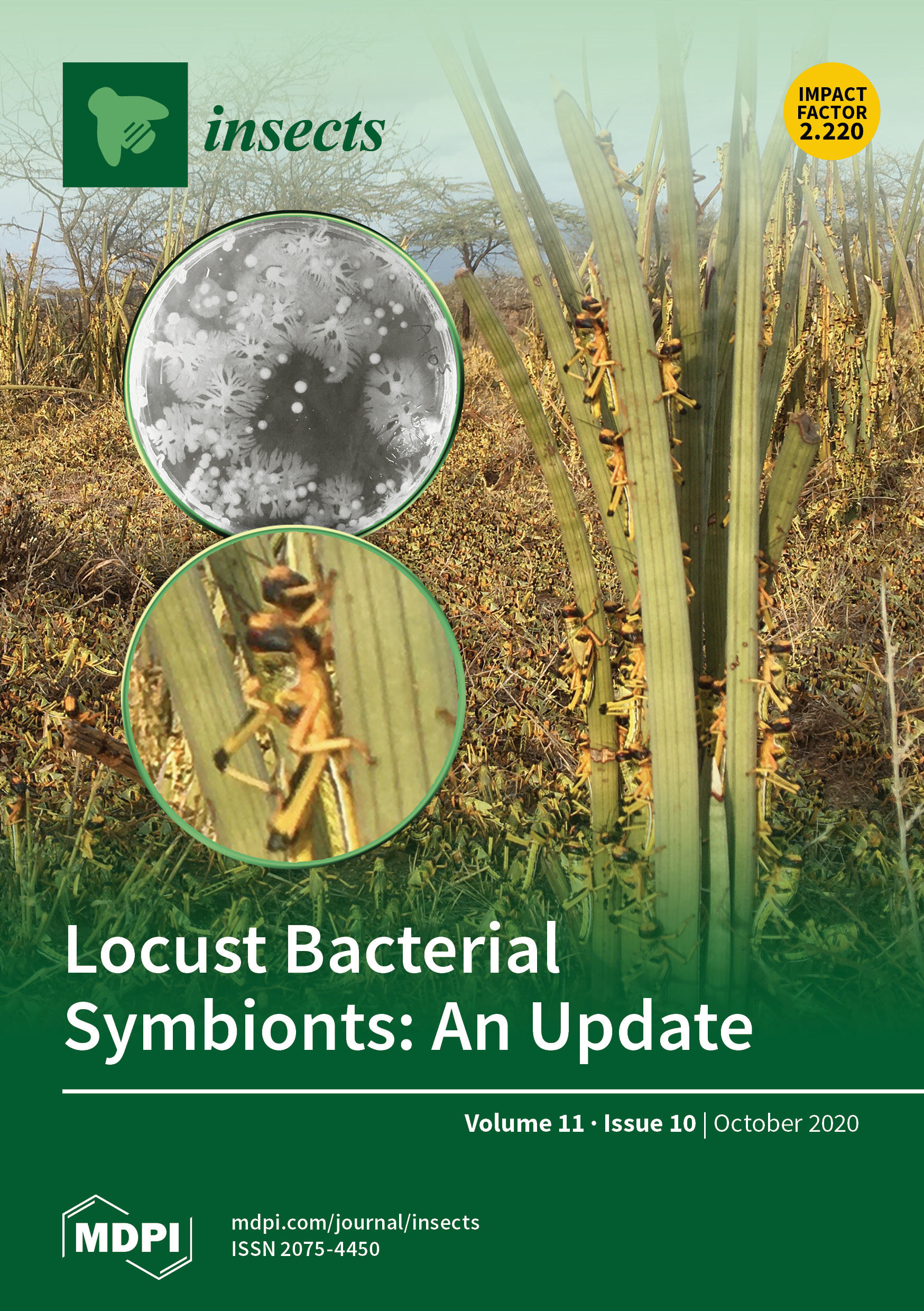 Insect Infestation Increases Viscosity of Biogenic Secondary Organic  Aerosol