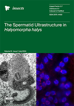 Issue Cover