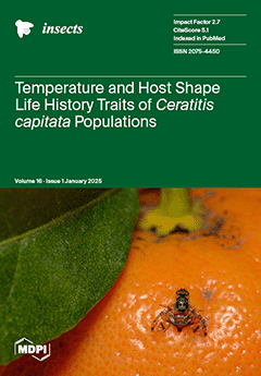 Issue Cover