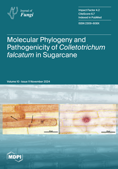 Issue Cover