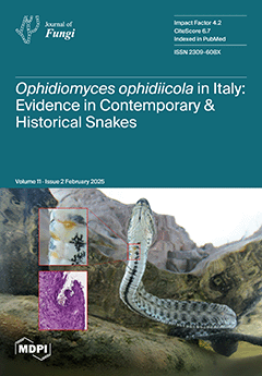 Issue Cover