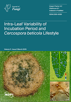 Issue Cover