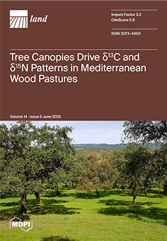 Issue Cover