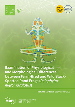 Issue Cover