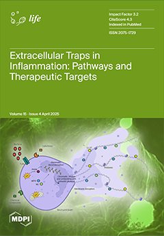 Issue Cover