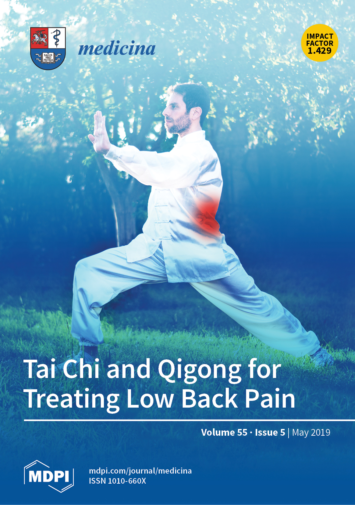 Non-Surgical Treatments of Lower Back Pain: Tariq Hilal, DO: Sports and  Spine Physician