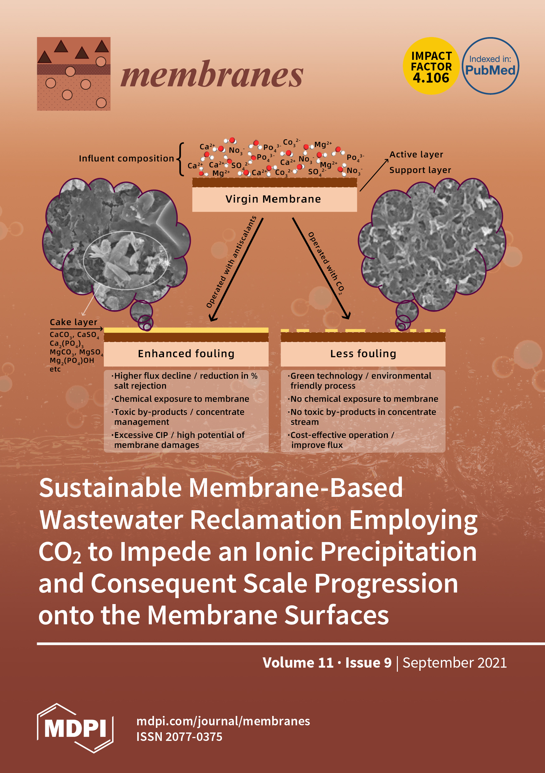 https://www.mdpi.com/files/uploaded/covers/membranes/big_cover-membranes-v11-i9.png