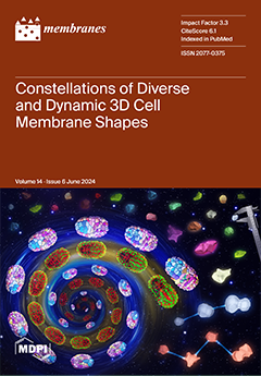 Issue Cover