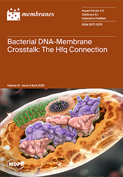 Issue Cover