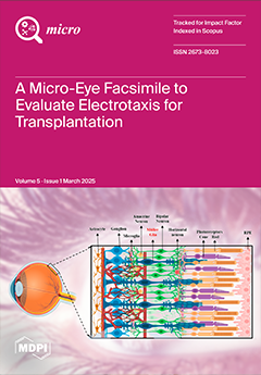 Issue Cover