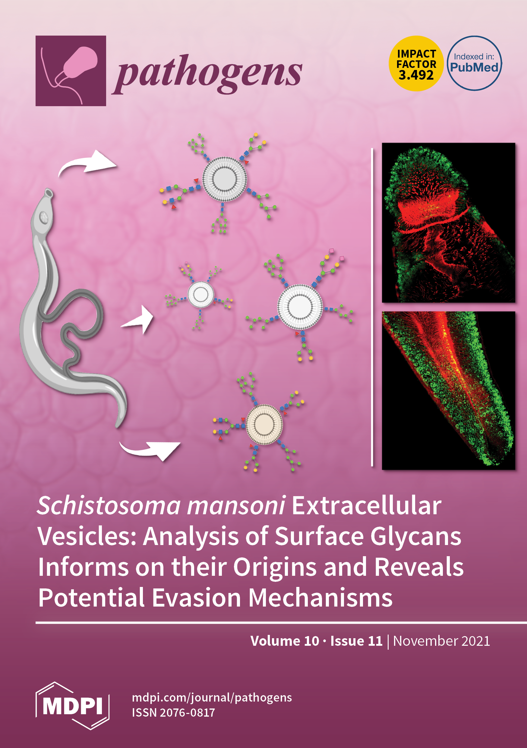 https://www.mdpi.com/files/uploaded/covers/pathogens/big_cover-pathogens-v10-i11.png