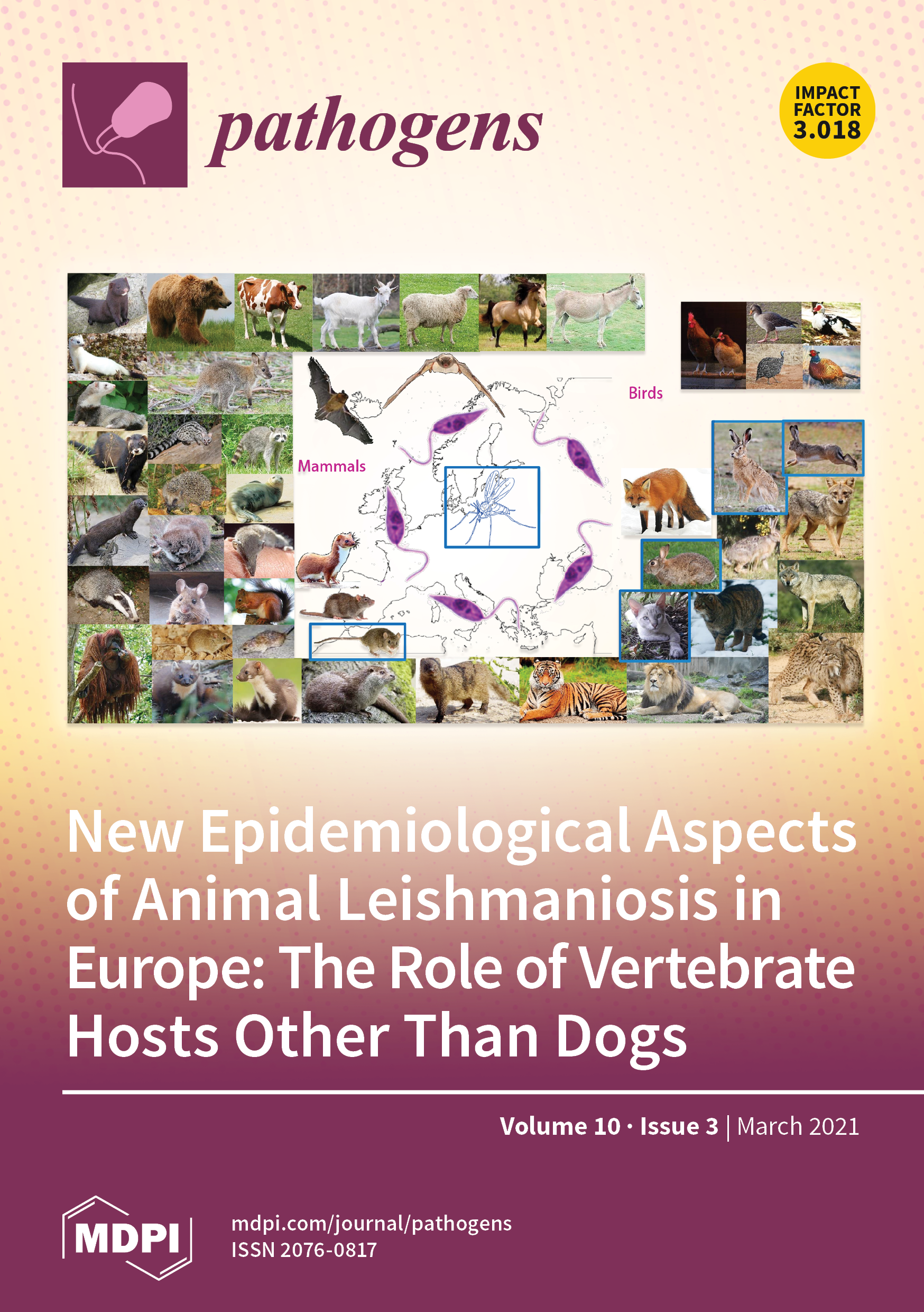 Frontiers  A One-Health Approach to Investigating an Outbreak of  Alimentary Tick-Borne Encephalitis in a Non-endemic Area in France (Ain,  Eastern France): A Longitudinal Serological Study in Livestock, Detection  in Ticks, and