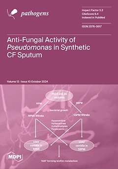 Issue Cover