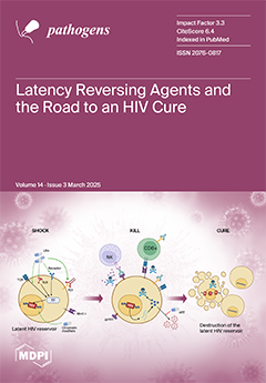 Issue Cover