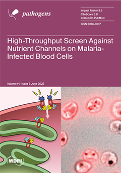 Issue Cover