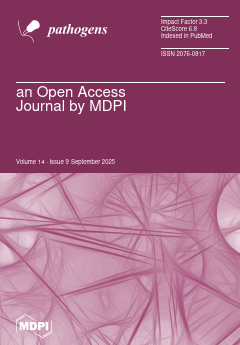 Issue Cover