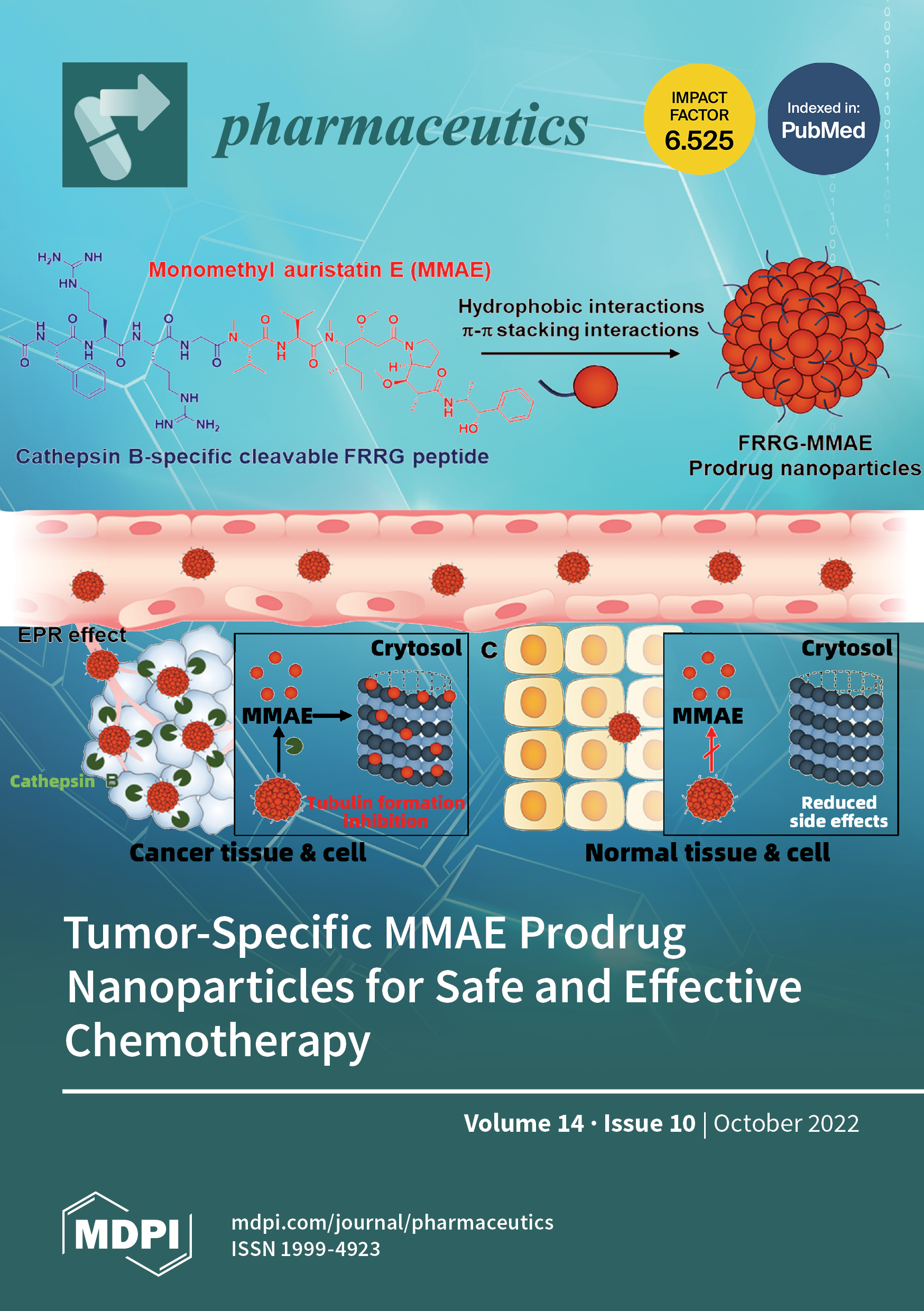 https://www.mdpi.com/files/uploaded/covers/pharmaceutics/big_cover-pharmaceutics-v14-i10.png