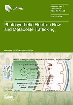 Issue Cover