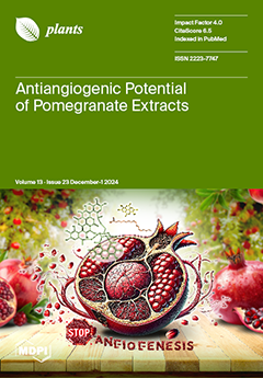 Issue Cover