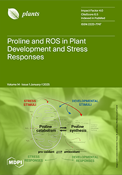 Issue Cover