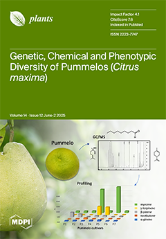 Issue Cover
