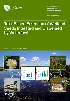 Issue Cover