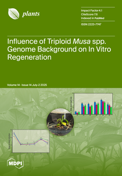Issue Cover