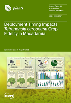 Issue Cover